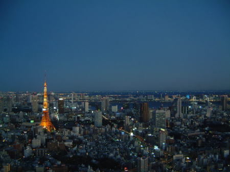 夕闇に浮かぶ東京タワー(3)/2007.1.7