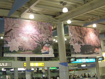 ＪＲ品川駅構内にかけられたみちのく三大桜の大横断幕/2007.3.25