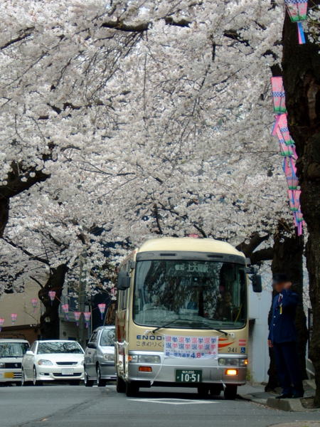 港南桜道の桜 2007/2007.3.31
