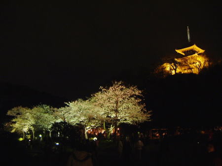 三渓園の夜桜/2007.3.31