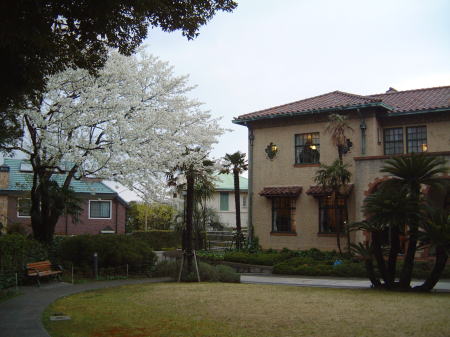 桜とベーリック・ホール/2007.3.31