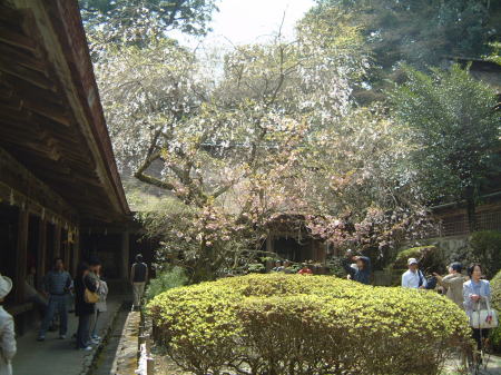 吉野水分神社/2007.4.14