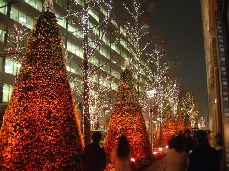 光都東京・LIGHTOPIA フラワー・ファンタジア(1)/2007.12.28
