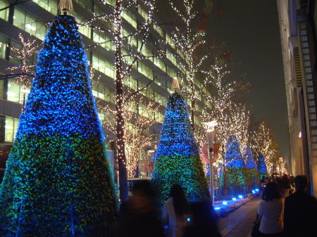 光都東京・LIGHTOPIA フラワー・ファンタジア(2)/2007.12.28