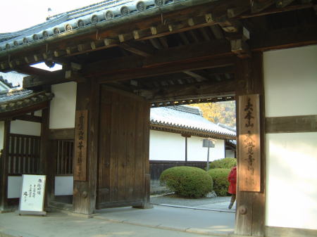 大覚寺(1)/2007.12.2