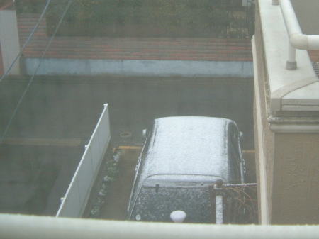 初雪/2008.1.23