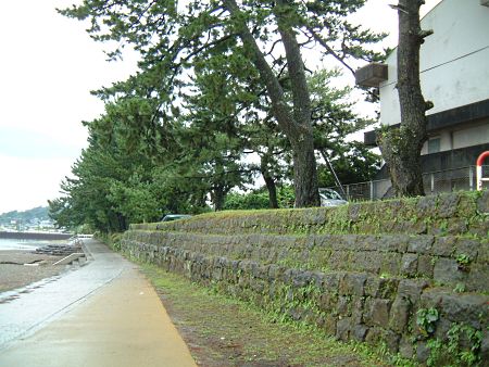 今和泉島津家別邸跡の石垣と松林/2008.9.16