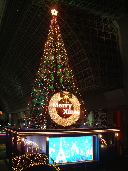 京都駅大階段のクリスマスツリー 2008/2008.11.29