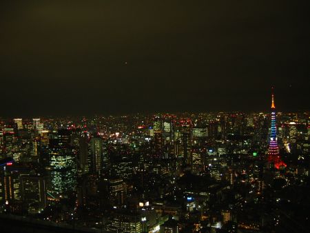 東京タワーの新ライトアップ「ダイヤモンドヴェール・スペシャルレインボー」(2)/六本木ヒルズ・スカイデッキより/2008.12.1