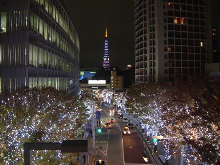 けやき坂のイルミネーション＋東京タワー 2008/2008.12.1
