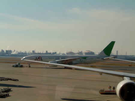 空のエコ・緑色のJAL機/羽田空港第1ターミナル/2009.1.26