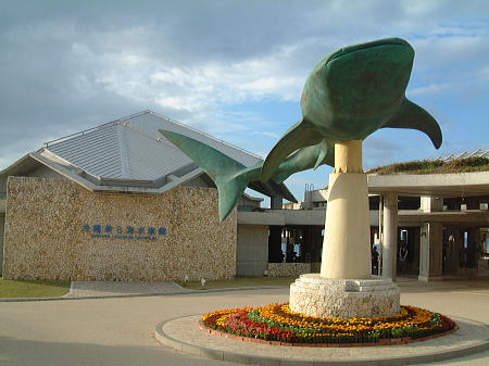 沖縄美ら海水族館/2009.1.28