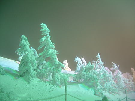 蔵王の樹氷ライトアップ(1)/2009.2.21