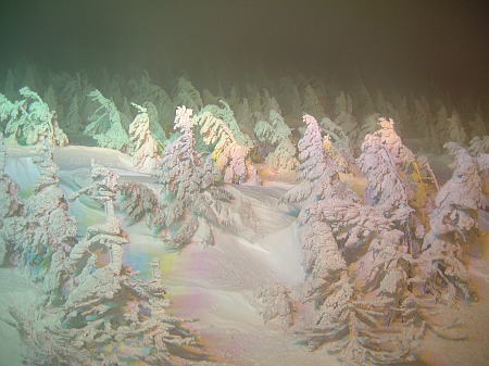 蔵王の樹氷ライトアップ(2)/2009.2.21