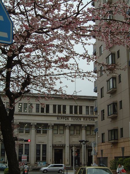 関内で見かけた桜(2)/2009.2.24