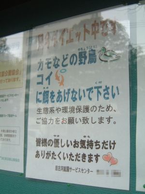 只今ダイエット中…のポスター/旧古河庭園にて/2009.3.25