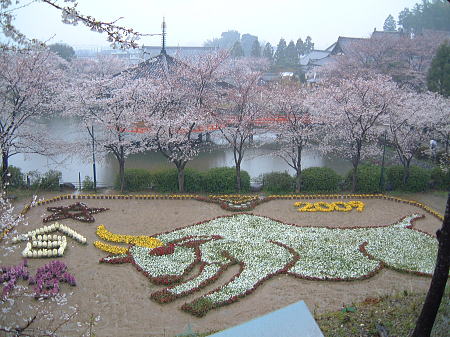 安倍文殊院の桜と花絵/2009.4.4