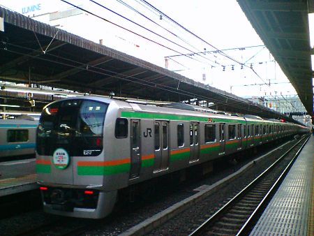 東海道線 全通120周年ヘッドマーク付のE217系/横浜駅/2009.4.23