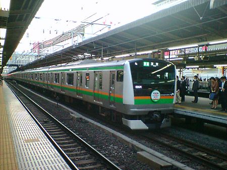 東海道線 全通120周年ヘッドマーク付のE233系3000番台/横浜駅/2009.4.23