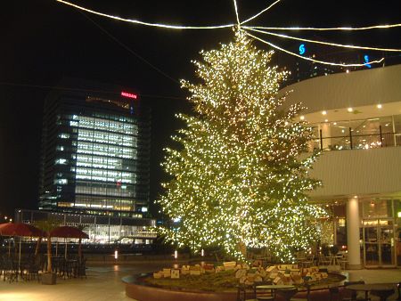 横浜ベイクォーターのクリスマスツリー 2009(2)/2009.12.14