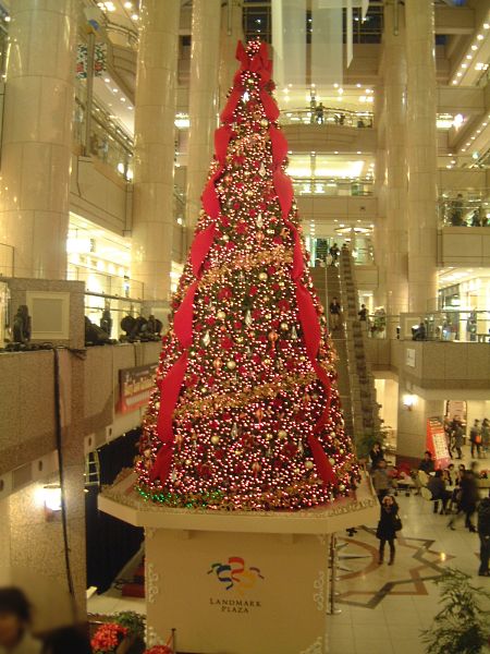 ランドマークプラザのクリスマスツリー 2009(1)/2009.12.20