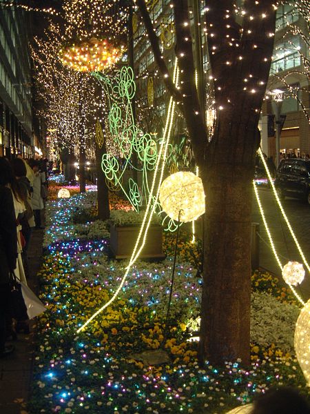 光都東京・LIGHTOPIA 2009 - フラワーファンタジア(1)/2009.12.25