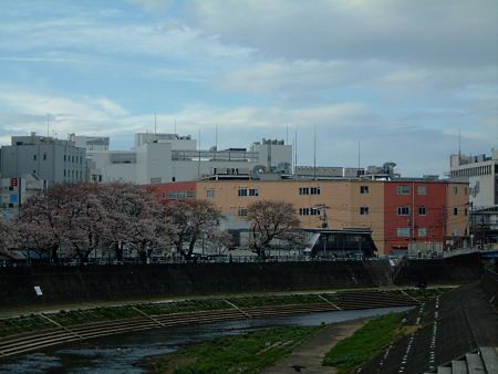 横浜・戸塚 柏尾川の桜(4)・戸塚ウェストＡ館をバックに…/2010.4.1