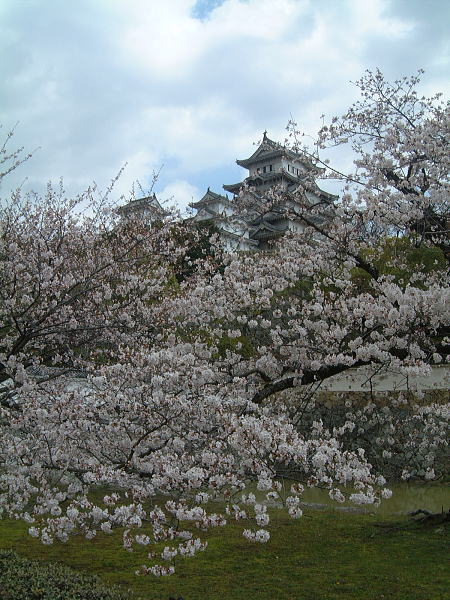姫路城と桜/2010.4.3