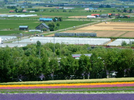ファーム富田から見下ろす富良野線のディーゼルカー/2010.7.17