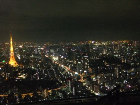 東京シティビュー・スカイデッキから眺める東京タワー(2)/2010.11.6