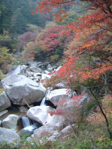 昇仙峡の紅葉(2)/2011.11.5