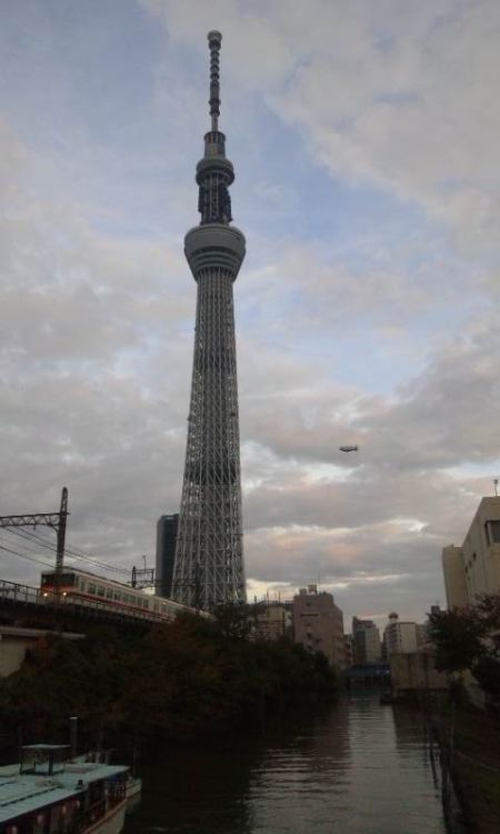 東京スカイツリー（2)/2011.11.12