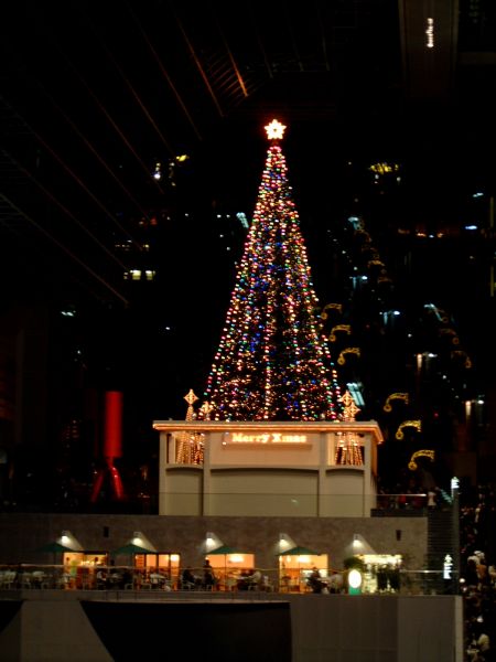 京都駅大階段のクリスマスツリー(1)/2011.11.26
