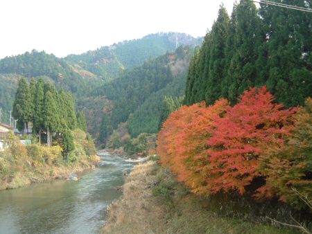 美山自然文化村周辺の紅葉(2)/2011.11.27