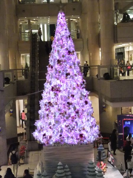 ランドマークプラザのクリスマスツリー 2011(2)/2011.12.22