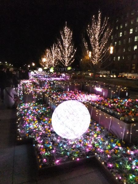 光都東京・LIGHTOPIA 2011 ～フラワーファンタジア～(1)/2011.12.26