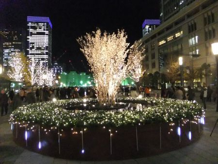 光都東京・LIGHTOPIA 2011 ～桜のシンボルツリー～(1)/2011.12.26