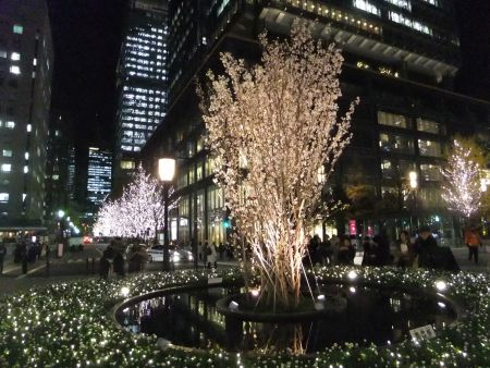 光都東京・LIGHTOPIA 2011 ～桜のシンボルツリー～(2)/2011.12.26