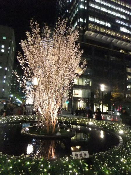 光都東京・LIGHTOPIA 2011 ～桜のシンボルツリー～(3)/2011.12.26