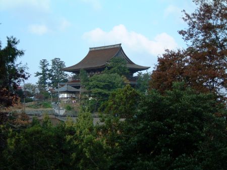 吉野・吉水神社(5)/蔵王堂を眺める/2011.11.17