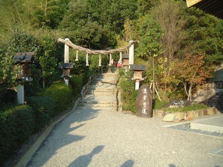 大神神社(8)/2011.11.17