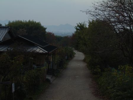 桧原神社(4)/2011.11.17