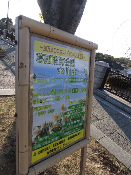 葛西臨海公園 水仙まつりのポスター/2012.2.2