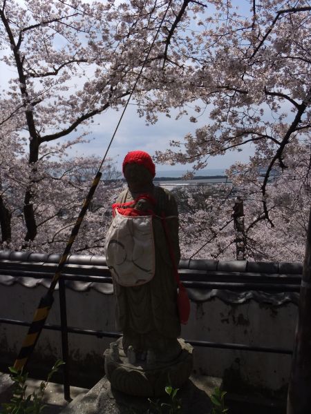 紀三井寺の桜(3)/2012.4.7