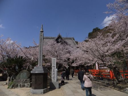 紀三井寺の桜(4)/2012.4.7