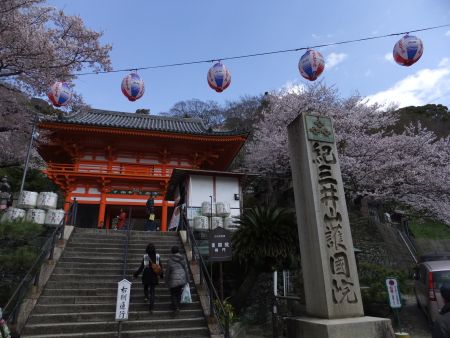 紀三井寺の桜(6)/2012.4.7