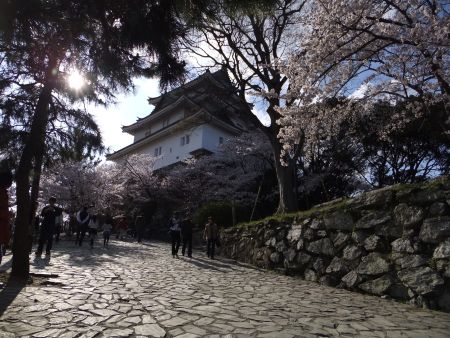 和歌山城の桜(2)/2012.4.7