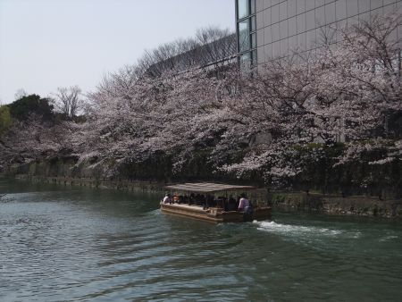 琵琶湖疏水と桜(1)/2012.4.8