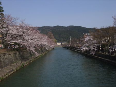 琵琶湖疏水と桜(2)/2012.4.8