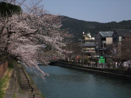 琵琶湖疏水と桜(3)/2012.4.8